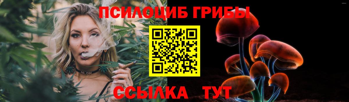 Шадринск  Галлюциногенные грибы GOLDEN TEACHER  Вход с VPN 